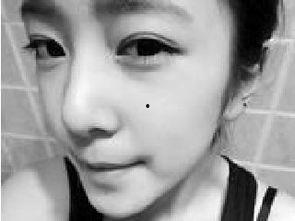 趴趴趴视频,揭秘日常生活中的趣味瞬间