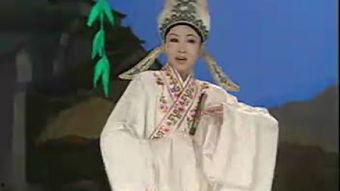 黄梅戏视频,传承与创新的艺术之旅