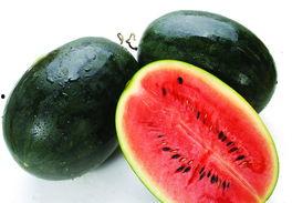 黑瓜吃料网 张津渝,黑瓜吃料网背后的美食探索之旅