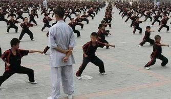 武术学院打架视频真假,打架视频真相大起底