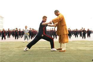 武术学院打架视频真假,打架视频真相大起底