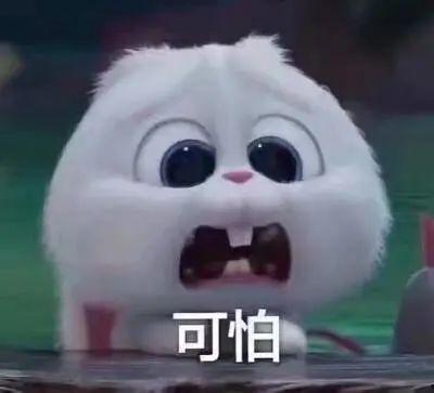 郑州吃瓜爆料事件真相是真的吗,事实与真相大起底