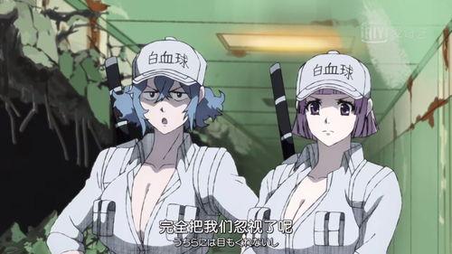 白细胞工作视频,人体免疫系统中的守护者工作揭秘