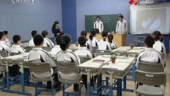 教师公开课视频,教师教学风采视频深度解析