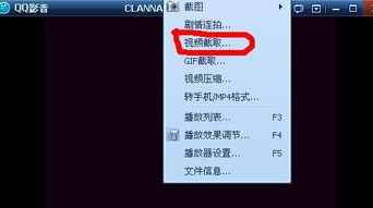 怎么截一段视频,一招教你轻松截取视频精彩片段