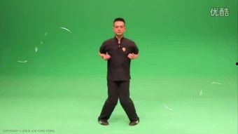 咏春拳全套慢动作视频,一招一式尽展武术精髓