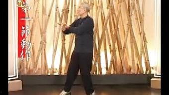 咏春拳全套慢动作视频,一招一式尽展武术精髓