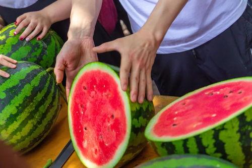 今日吃瓜在线播放,揭秘娱乐圈最新热点事件