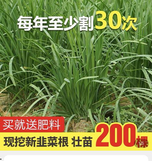 今年吃瓜爆料,热点事件盘点与幕后真相揭晓