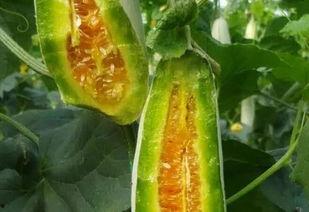 今年吃瓜爆料,热点事件盘点与幕后真相揭晓