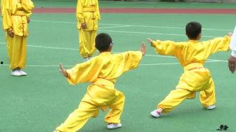 武术视频教学,掌握传统武艺的入门指南