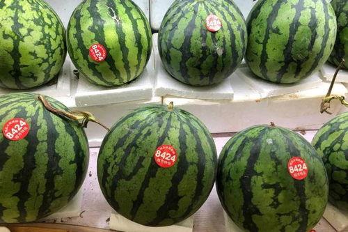 51吃瓜在线今日吃瓜,今日热点事件大盘点