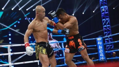 一龙视频,揭秘武术传奇背后的故事