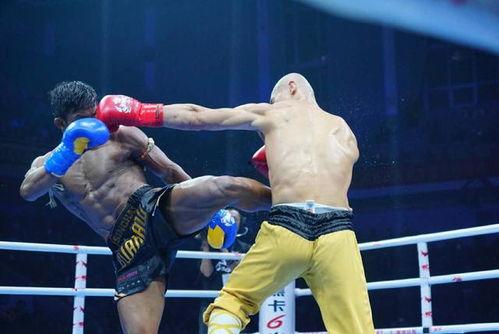 一龙视频,揭秘武术传奇背后的故事