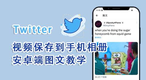 下载推特视频,揭秘热门短视频背后的魅力