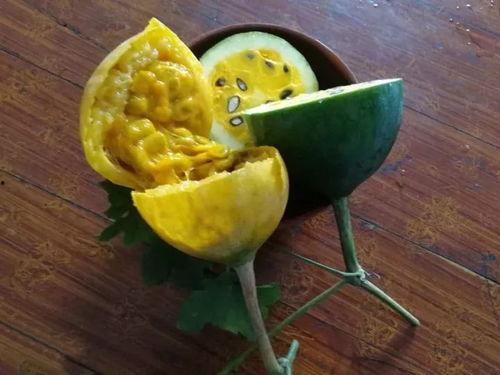 什么瓜要搓干净吃黑籽,揭秘搓净黑籽的秘密与营养