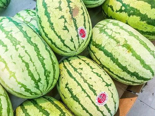 黑瓜吃料网现在叫什么名字,揭秘新名字背后的故事与愿景