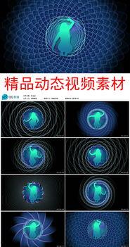 性感动态视频,性感动态视频魅力瞬间