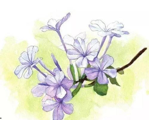 水彩画教程视频入门,轻松掌握水彩画技巧与基础