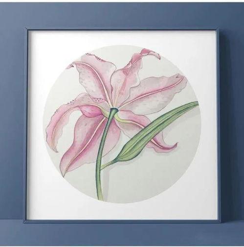 水彩画教程视频入门,轻松掌握水彩画技巧与基础