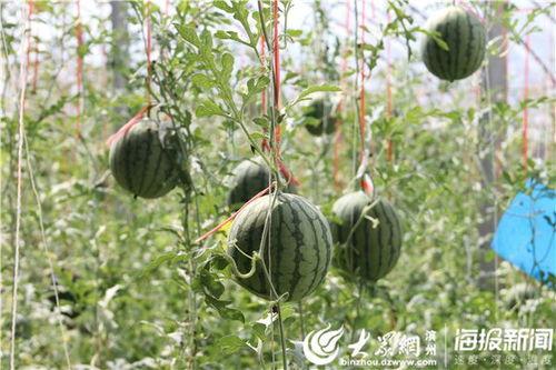 吃瓜爆料专用楼2,热点事件背后的真相与内幕