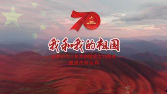 祖国视频,记录时代脉搏，展现民族风采