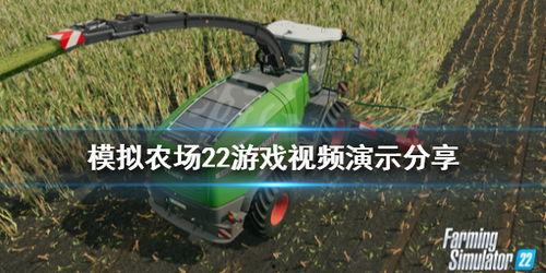 农场视频,探秘现代农业的生机盎然