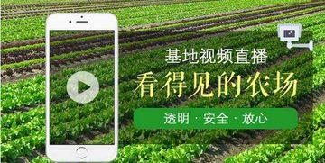 农场视频,探秘现代农业的生机盎然