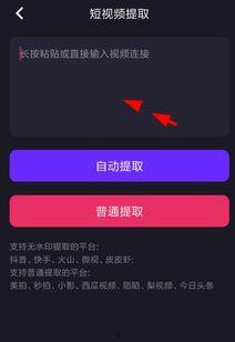 怎么去掉视频水印,还原高清画质秘籍