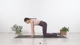 瑜伽猫式动作视频,轻松释放肩颈压力，提升身体柔韧性