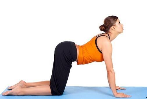 瑜伽猫式动作视频,轻松释放肩颈压力，提升身体柔韧性