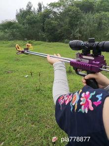 弹弓高手下斑鸠视频,一击命中斑鸠精彩瞬间