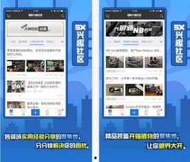 5x视频在线,揭秘热门在线平台的魅力与奥秘