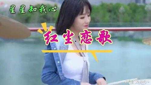 情歌对唱歌曲大全视频,重温甜蜜旋律，共赴浪漫之旅