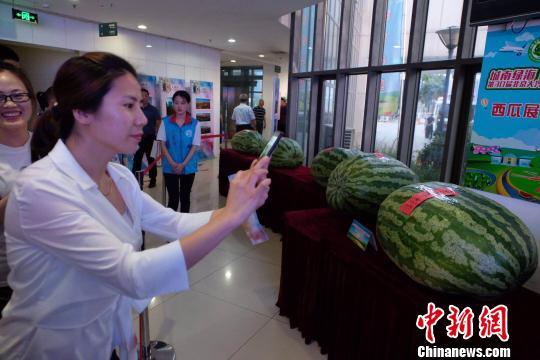 吃瓜最新事件爆料无锡新闻,吃瓜群众热议最新事件爆料揭秘