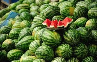 网红吃瓜黑科爆料,揭秘娱乐圈背后的惊人真相