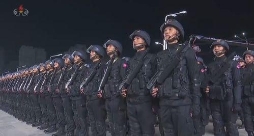 朝鲜阅兵视频,铁血雄狮展翅翱翔