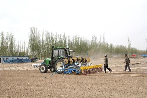 甘肃省瓜州县今日头条,探寻丝绸之路上的璀璨明珠