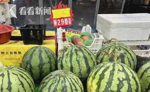 今日毛瓜价格最新批发价,市场行情实时解析”