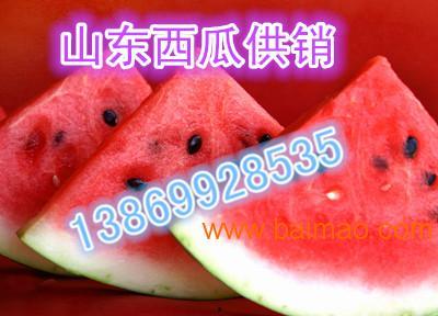 今日瓜价子格最新行情,最新行情揭示市场动态”