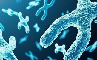 夫妻性生话视频,性生活的温馨与和谐