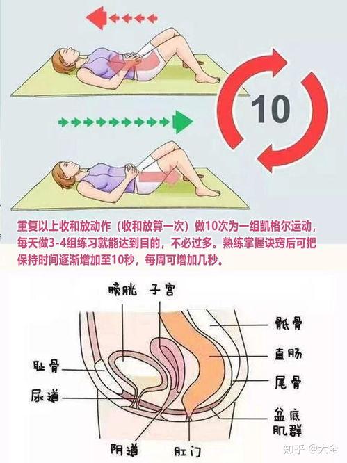 盆底肌修复视频教程
