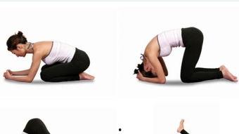 蹲起的正确姿势视频,视频教学与姿势要领