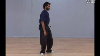 吴阿敏太极拳24式视频,传承经典，展现太极魅力