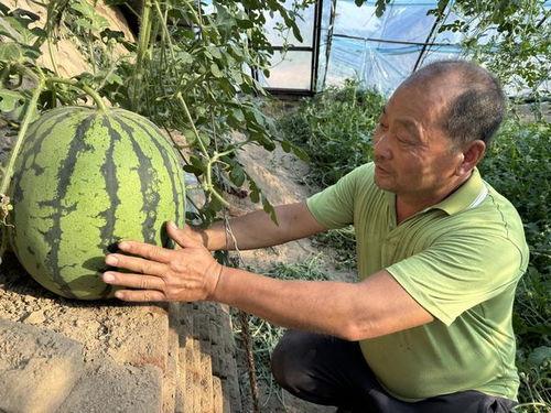 今日王姓大瓜,娱乐圈大瓜引发热议