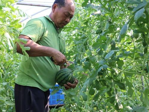 今日王姓大瓜,娱乐圈大瓜引发热议