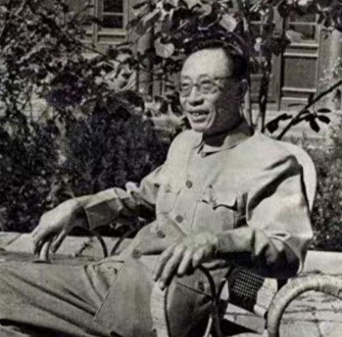 溥仪视频,宫廷生活与历史变迁的见证者