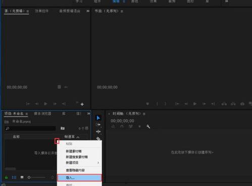 pr导入视频没有声音,PR导入视频无声音解决方案解析