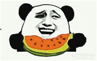 朝阳吃瓜群众今日吃瓜新闻,今日热点事件大盘点