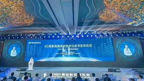 青岛视频制作,视频中的海滨魅力之旅